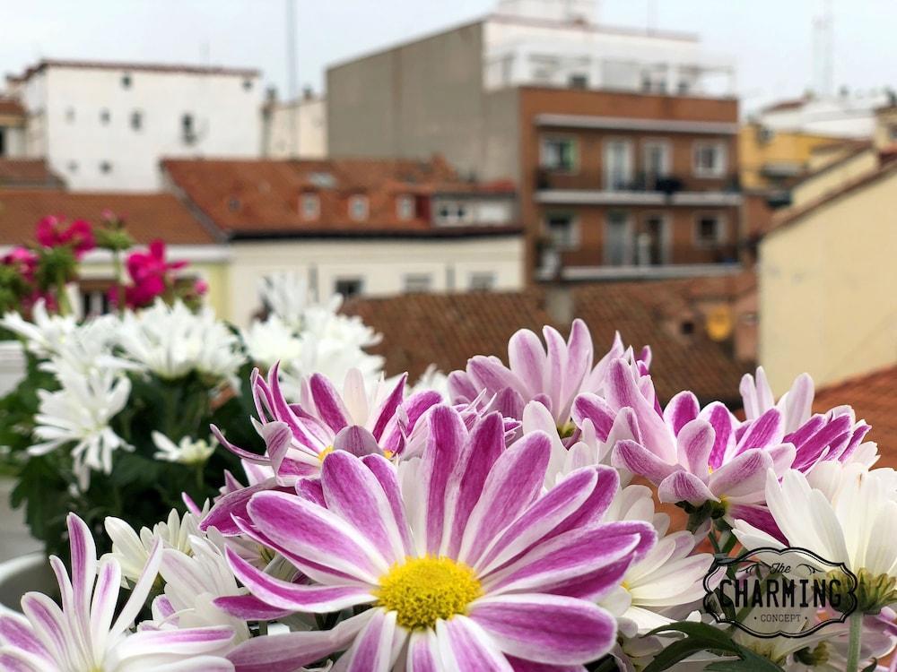 Charming Oasis In The Centre Of Madrid Apartment Exterior photo